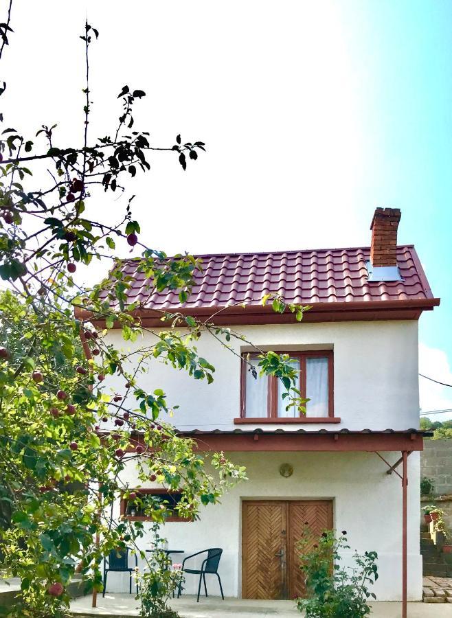 Boraszporta - Preshaz Hotel Villany Exterior photo