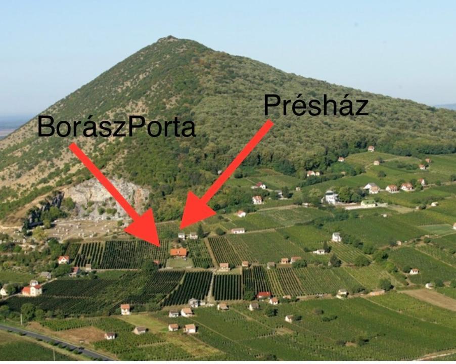 Boraszporta - Preshaz Hotel Villany Exterior photo